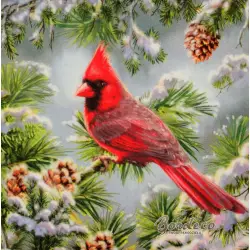 PAPER+DESIGN Niemcy 25x25